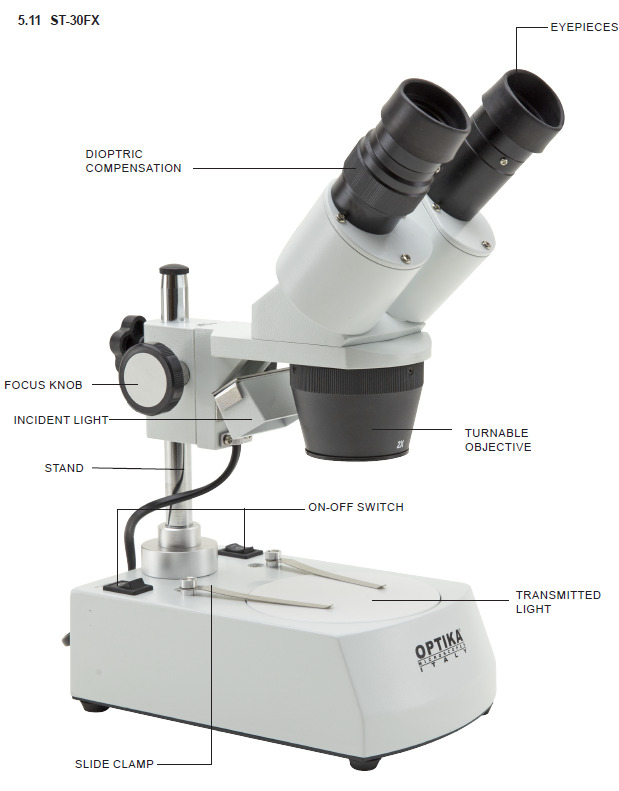 Stereomicroscope/dissecting microscope low magnfication 20x-40x ...