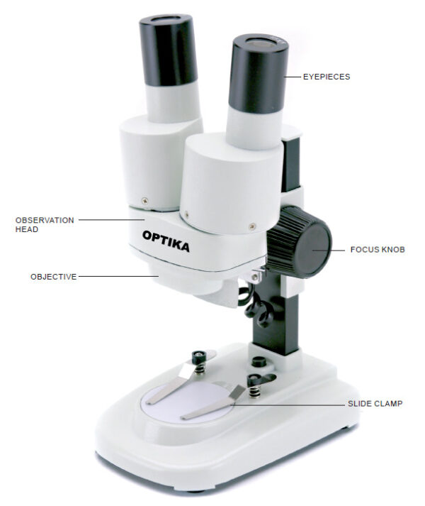 lowest magnification dissecting microscope