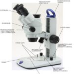 Optika SLX-3 stereomicroscope