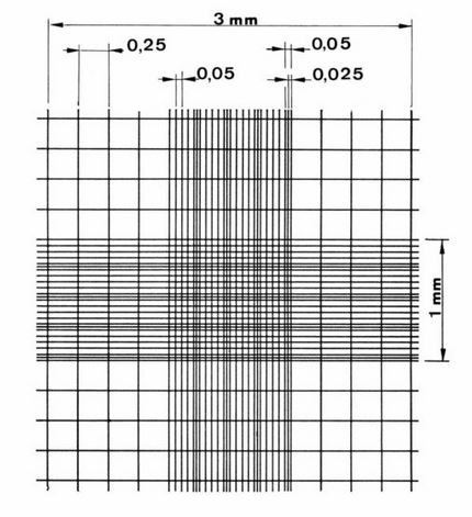 Neubauer hemacytometer counting grid