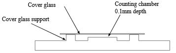 neubauer hemacytometer