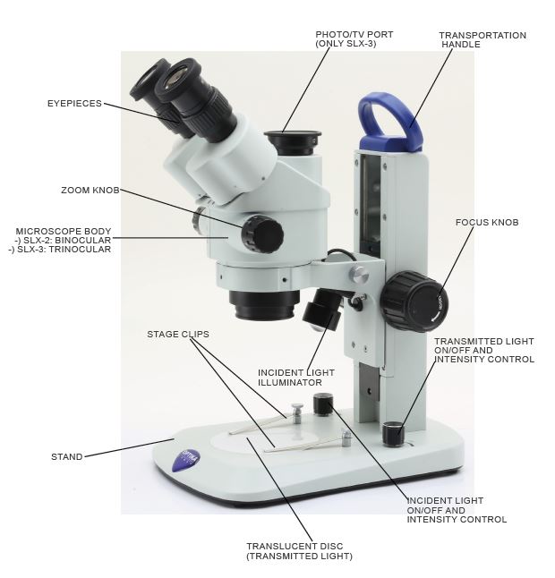 Optika SLX-2 stereomicroscope illustrated