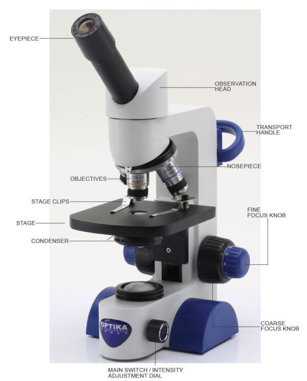 Optika microscope B-61 monocular components