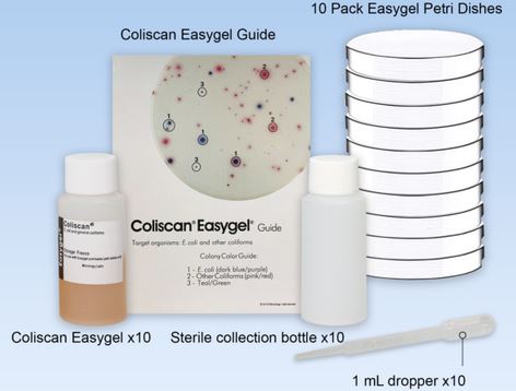 E. coli coliform bacteria test kit