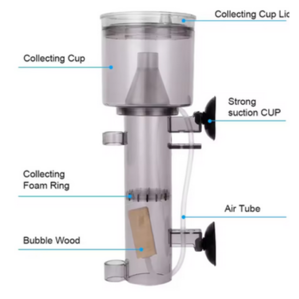 Protein Skimmer with Wood Air Stone Tubing