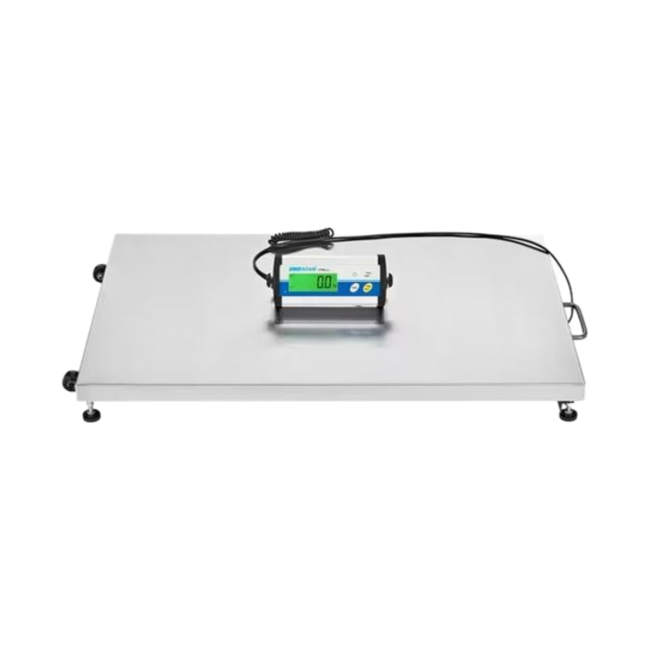 CPWplus Bench and Floor Scales